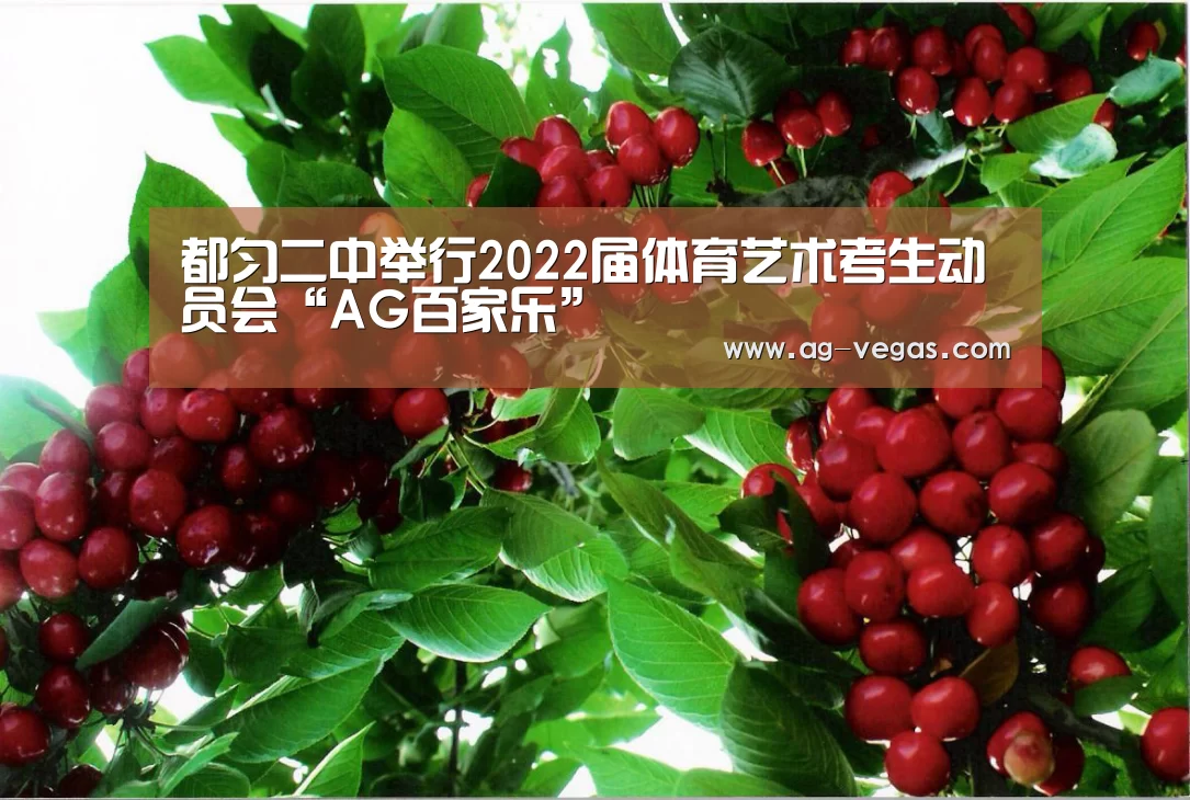 AG官网