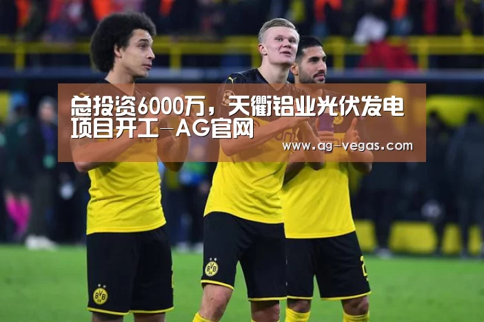 总投资6000万,天衢铝业光伏发电项目开工-AG官网(图4) AG百家乐